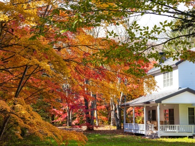 Fall leaf pick up