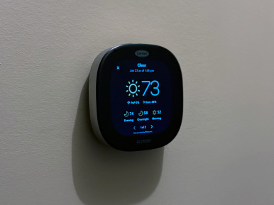 Capstone monitors and smart home